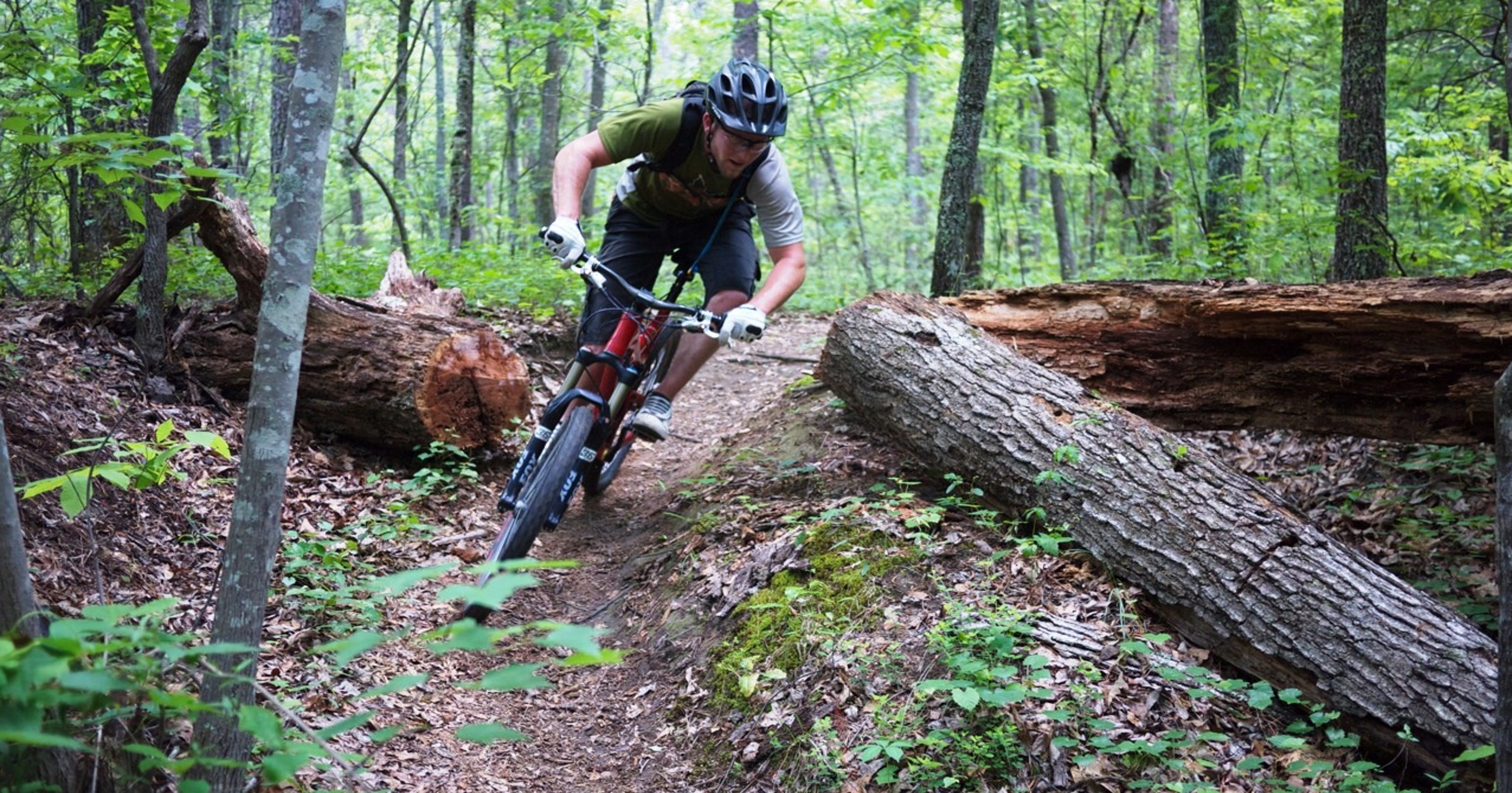5 northern Wisconsin trails for hiking, biking, ATVs