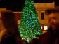The Knoxville City Christmas tree glows at the Christmas
