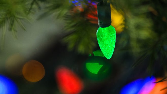 Selective focus close-up on bright colored Christmas Tree lights on an outdoor spruce tree