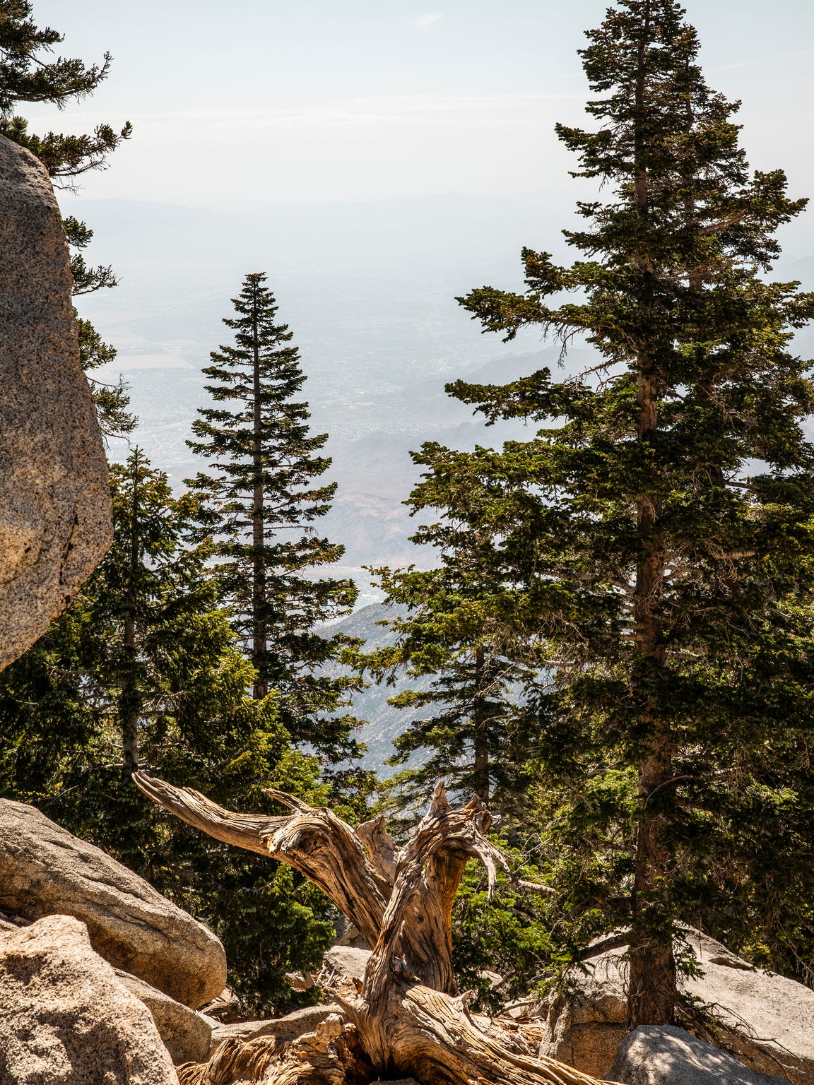 Palm Springs Area Adventure Awaits In The San Jacinto Wilderness