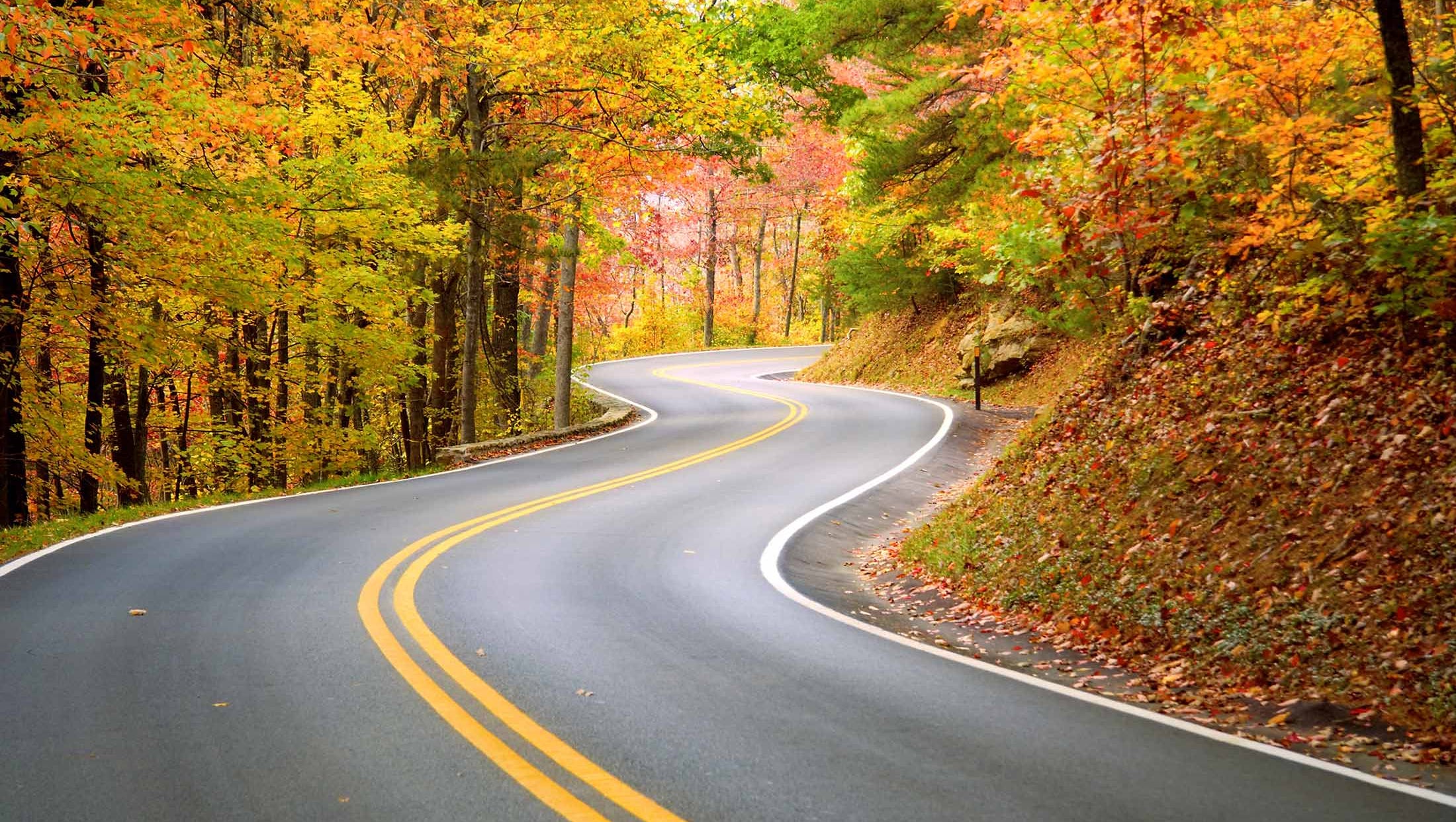 The list of 5 Tail of the dragon north carolina 1 5 things to know about 'The Tail of the Dragon,' top destination for motorcyclists and sports car enthusiasts
