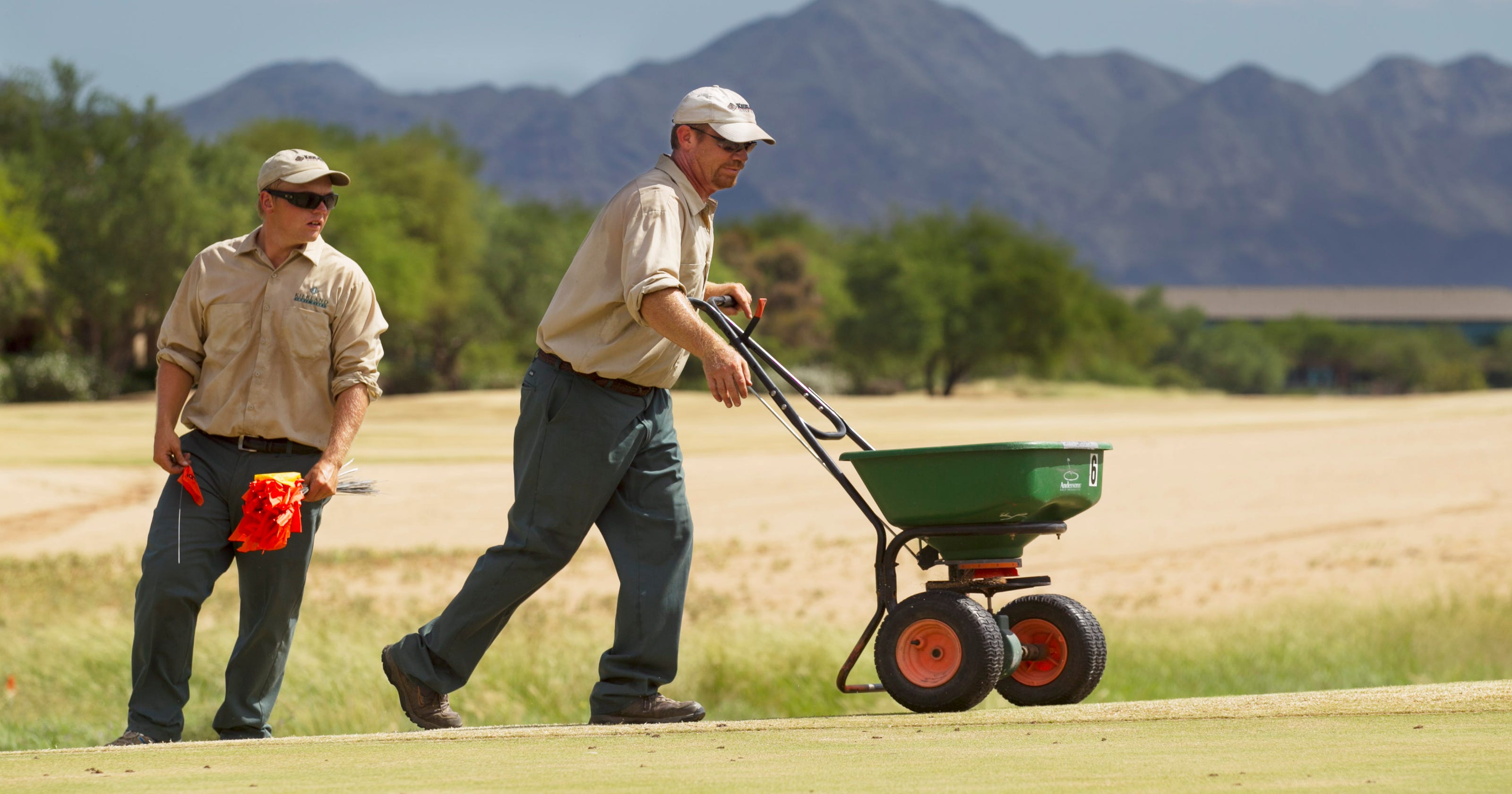 Smell Of Cow Manure Signals Fall S Arrival In Phoenix