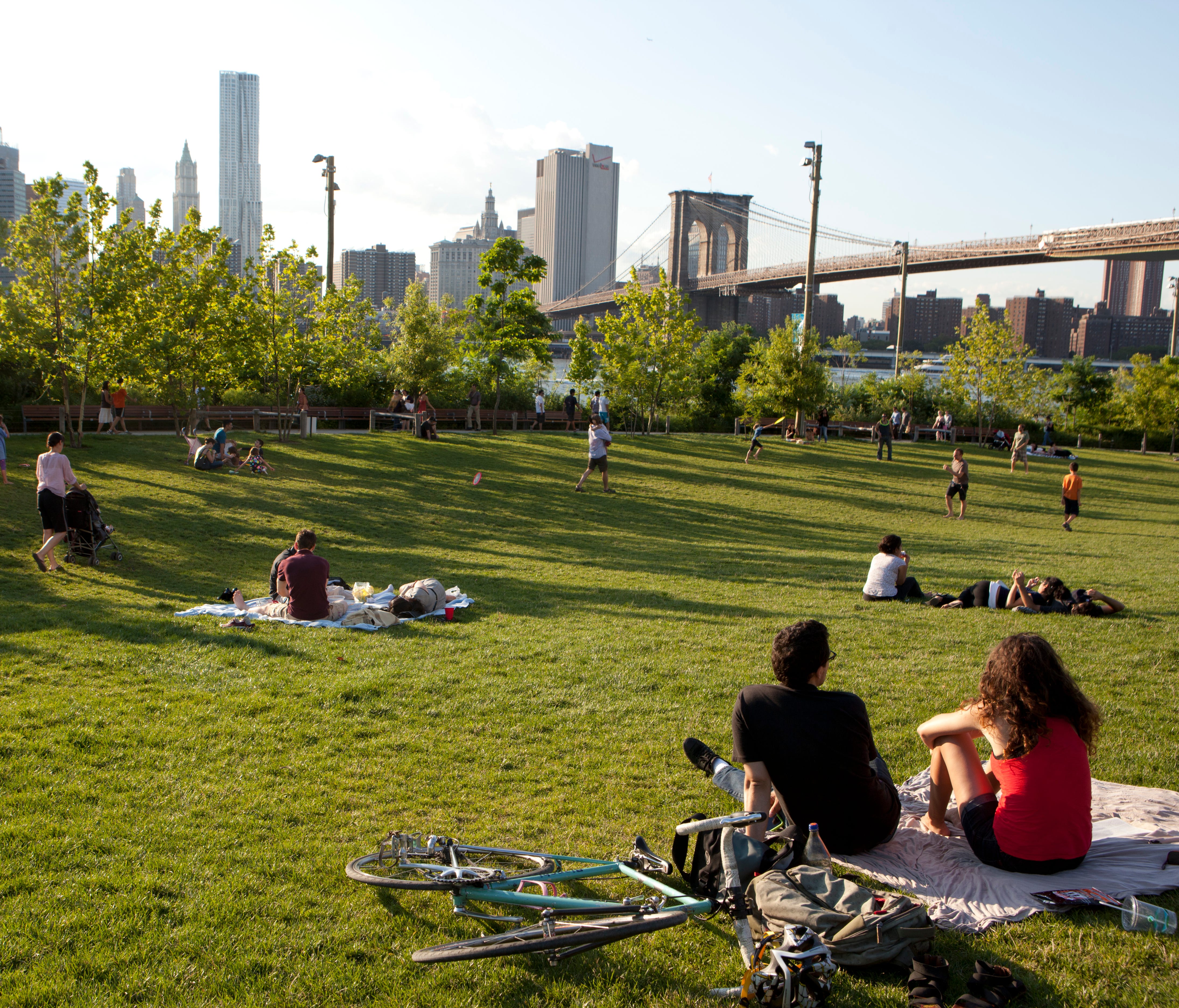 Brooklyn Bridge Park's Pier 1  has a large lawn with a view of the bridge.
