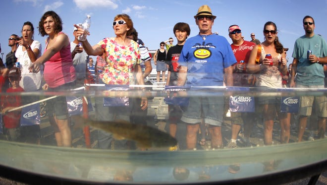 Greenville Catfish Extravaganza to wydarzenie niepodobne do żadnego innego w Fox Valley. (Poważnie, gdzie jeszcze można zobaczyć sumy i sumy wyścigowe?)