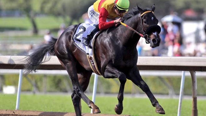 Danzing Candy scored a front-running win in Saturday's west coast Derby prep, the San Felipe Stakes.