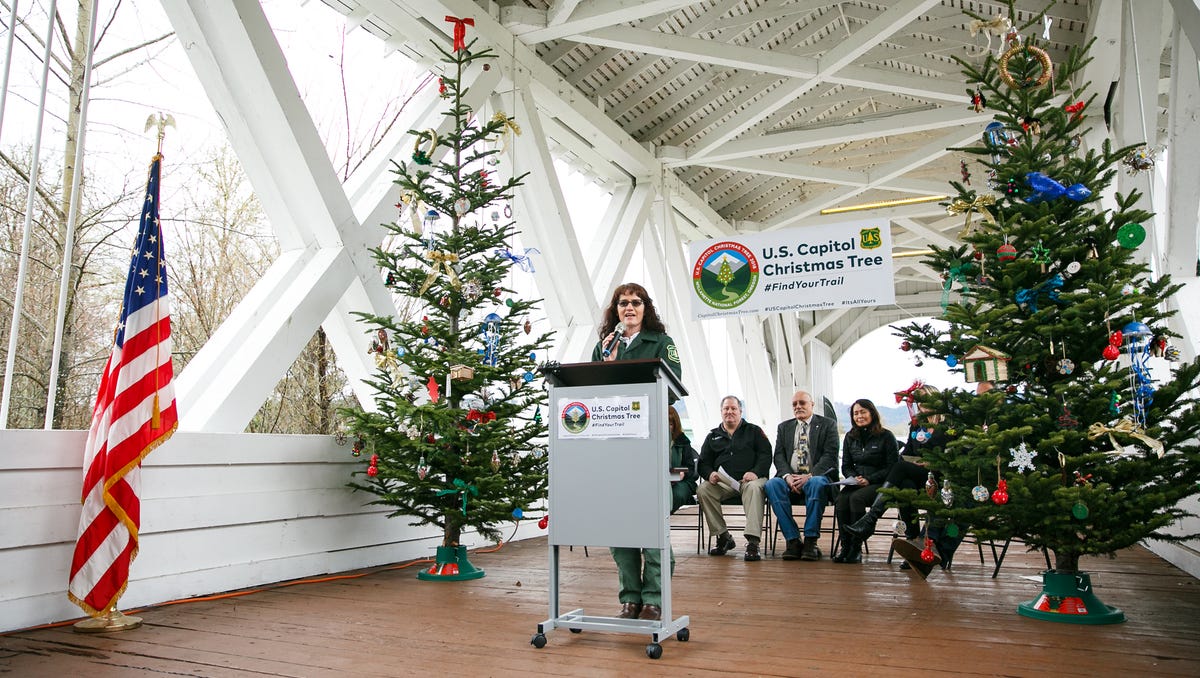 Jan. 19, 2021 And Christmas Tree And Sweet Home Oregon