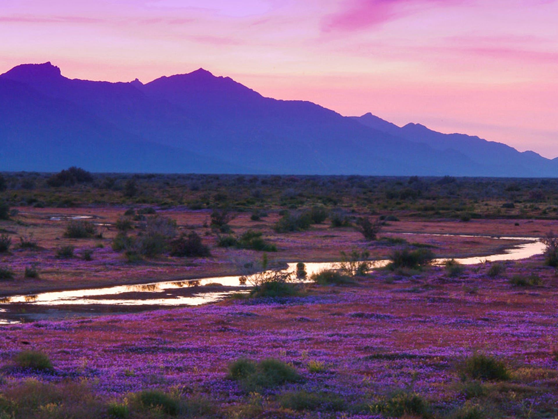 10 tips for Arizona spring planting season