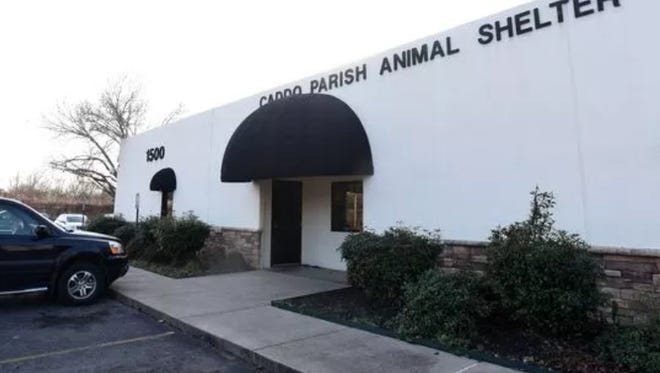 Parish Administrator Woody Wilson submitted a written plan to parish commissioners in mid-January detailing three phases for improving conditions at the shelter.