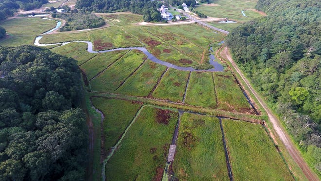 An aerial view shows the Barnstable Clean Water Coalition's setup in a cranberry bog drainage ditch that uses a bioreactor to remove nutrients from water headed toward the Marstons Mills River, seen at top.