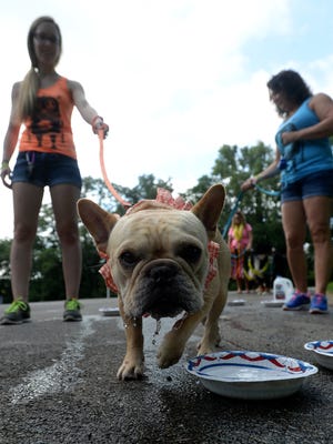 The 31st annual Pet Walk to benefit HELP the Animals will be July 30 in Glen Miller Park.