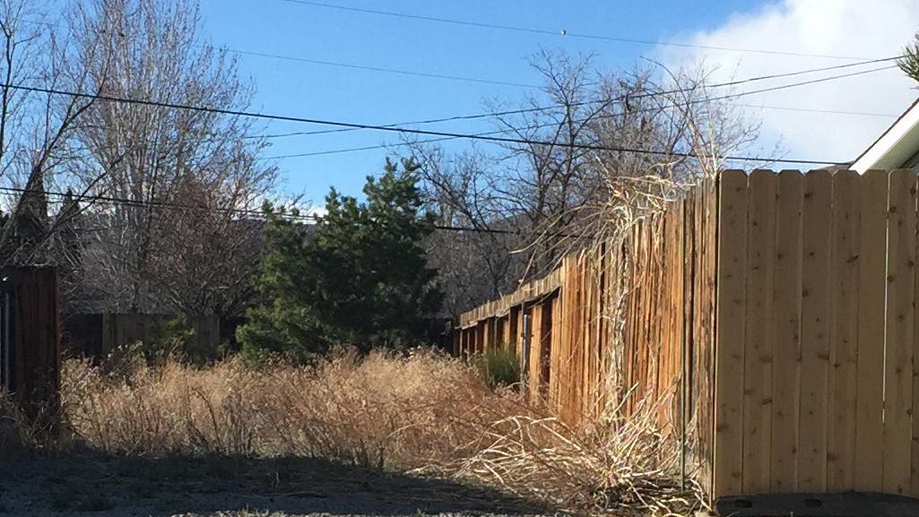 Complaint about neighbor’s yard? Here’s what to do