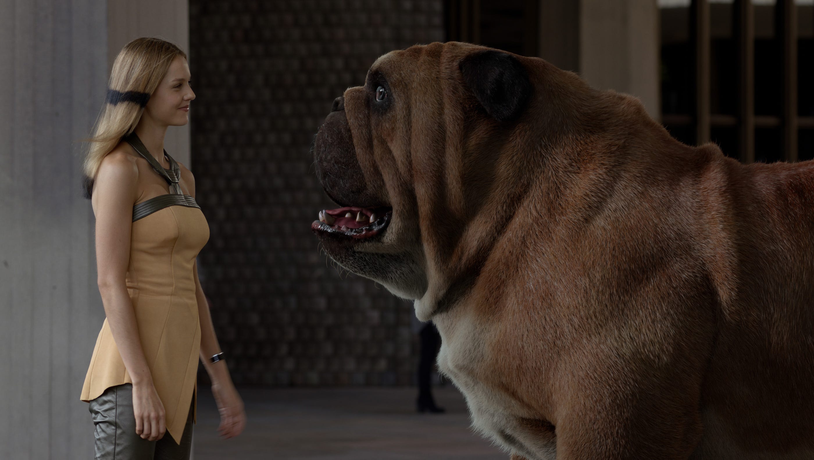 Marvel S Inhumans Review Inhumanly Bad Inhumans is one of marvel's blockbuster superhero dramas that started last year, but cancellation rumours have plagued the series since it began. marvel s inhumans review inhumanly bad