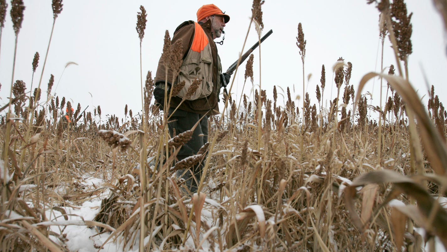 New public hunting land opens in Rock County