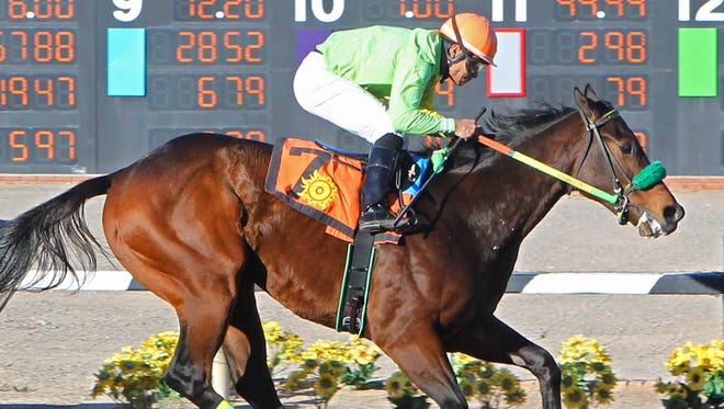 Conquest Mo Money and jockey Jorge Carreno win the Riley Allison Stakes at Sunland Park on Jan. 29.