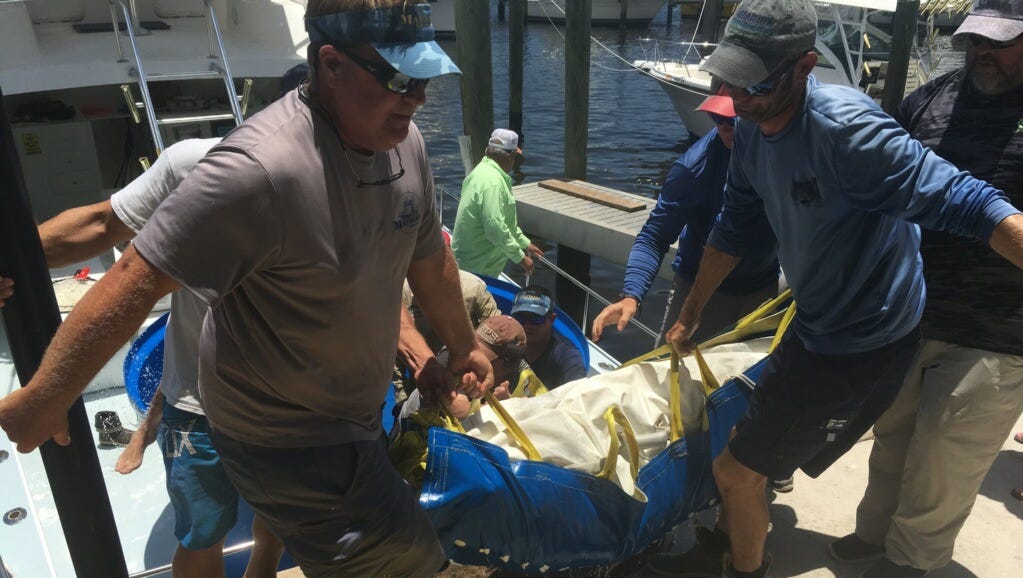 Bass Pro Shops Ceo Catches Goliath Groupers For Aquarium Video