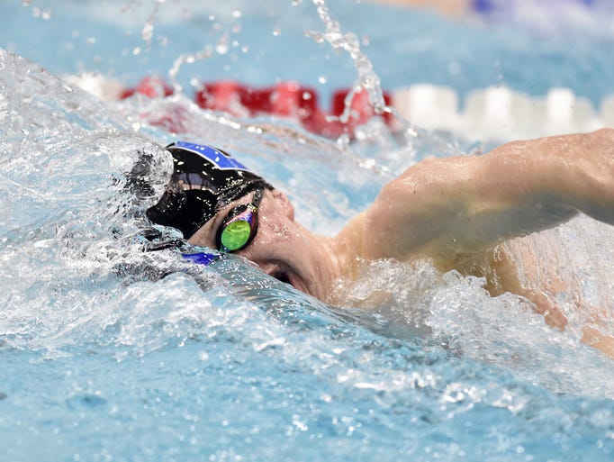Dallastown's Jacob Stoner swims the 100-yard freestyle