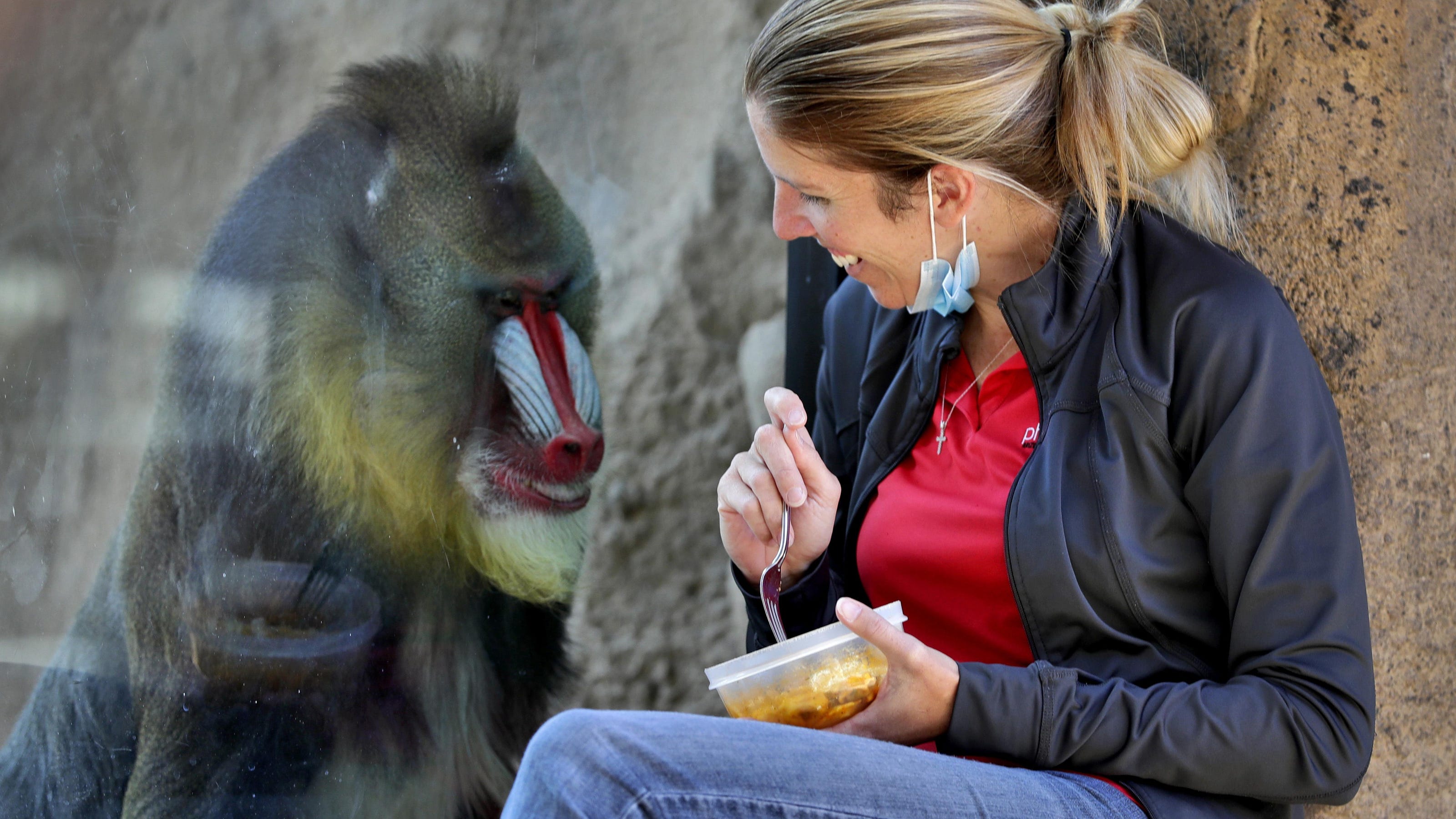 Lonely Zoo Animals Drive By Salutes News From Around Our 50 States