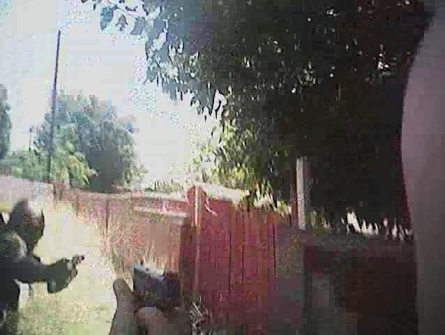 liveleak new zealand shooting footage liveleak new zealand shooting footage