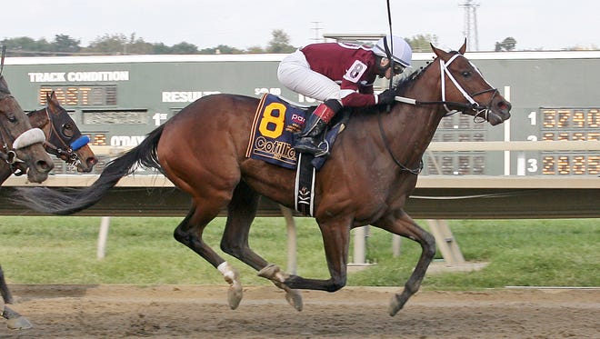 In this image provided by Equi-Photo, Untapable, with Rosie Napravnik aboard, runs on its way to winning the Cotillion Stakes horse race at Parx Racing in  Bensalem, Pa., Saturday, Sept. 20, 2014. (AP Photo/Equi-Photo, Bill Denver)