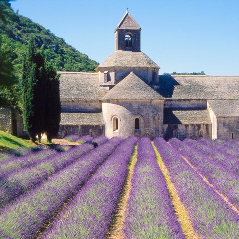 Monks at Sénanque Abbey in Provence divide their...