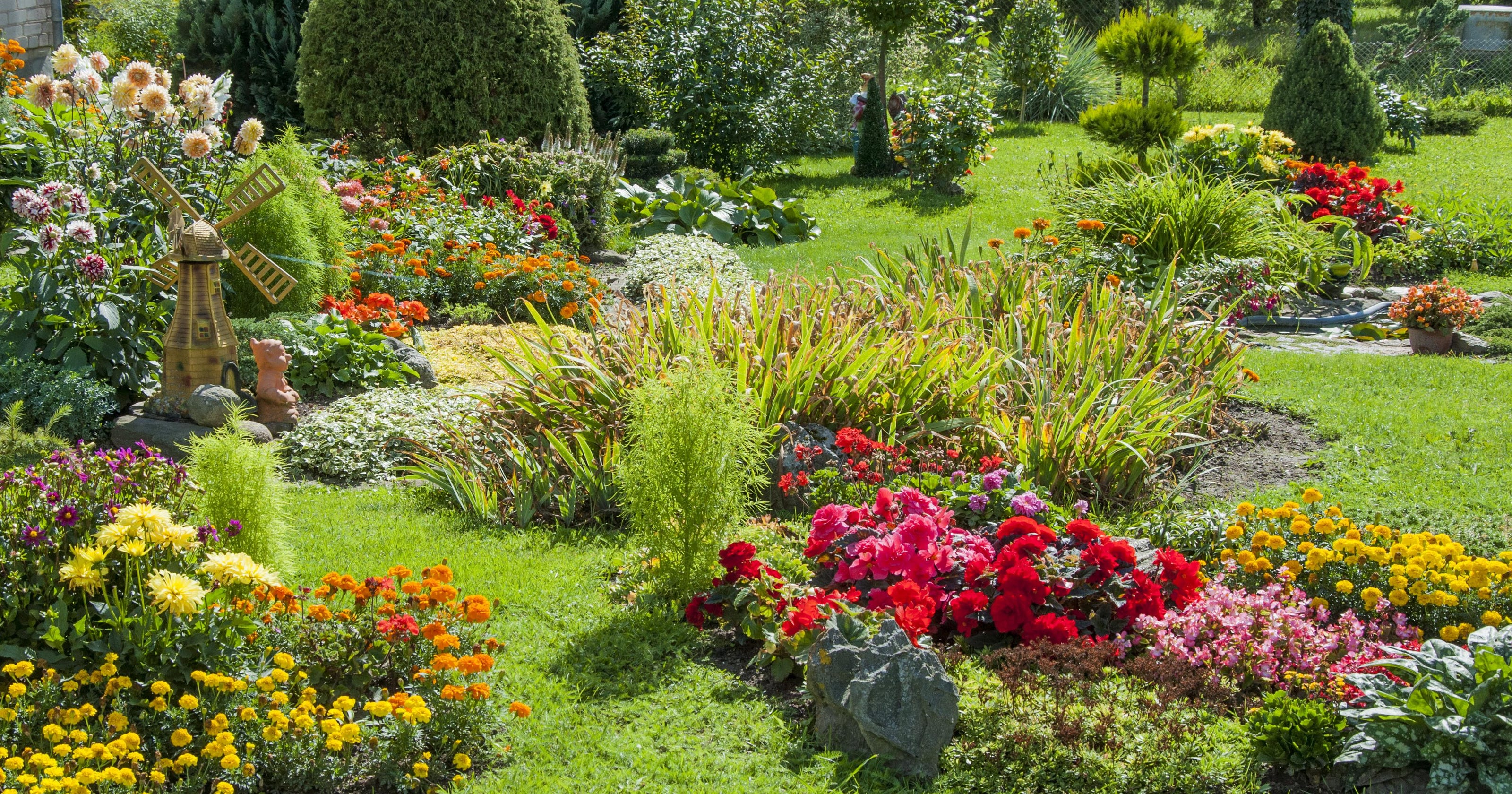A bio diverse garden is a happy garden