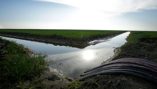 In this Feb. 25, 2016, file photo, water flows through an irrigation canal to crops near Lemoore.