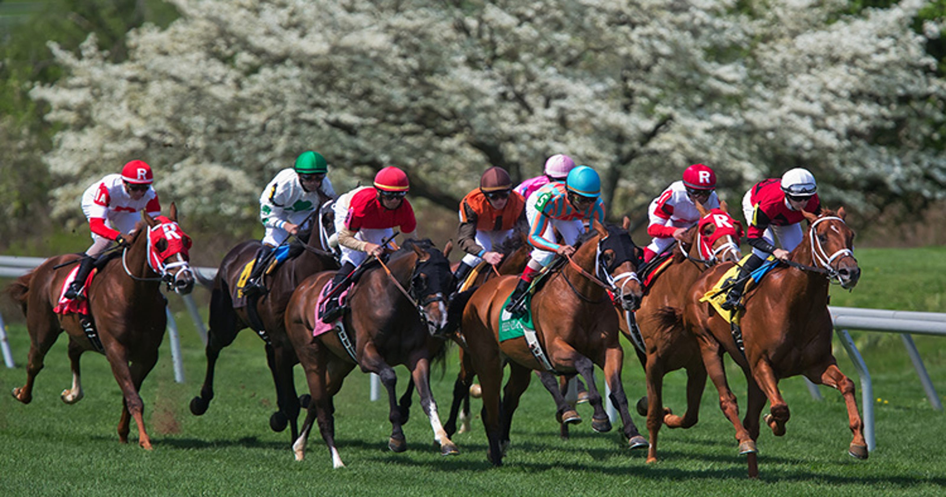 Keeneland's 2017 Spring Meet at a glance Stakes schedule, TV