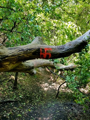 A swastika painted on a felled tree in Leaders Park, as pictured Aug. 19