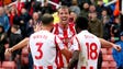 Stoke City's Peter Crouch celebrates his goal against