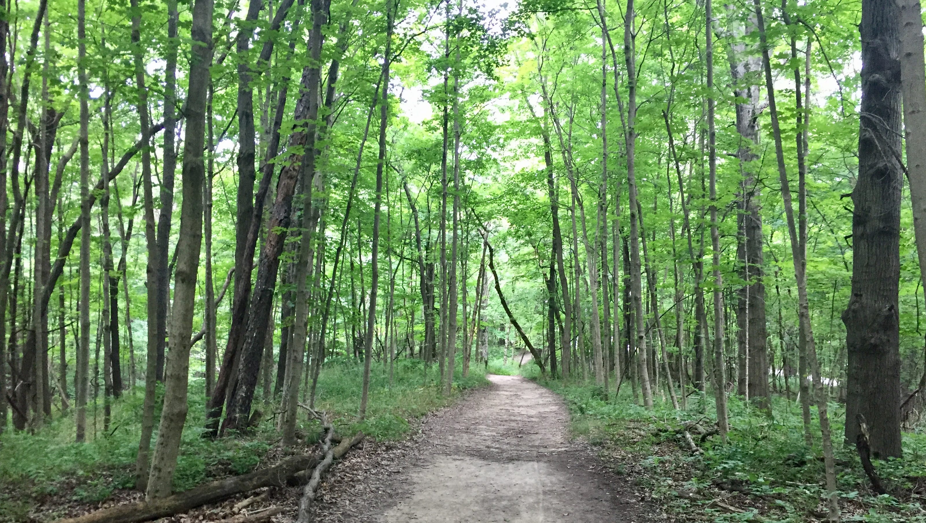 Eagle Creek Park of Indianapolis