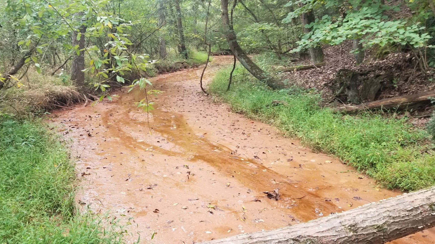 Virginia mud dumped into Berkeley stream, killing wildlife
