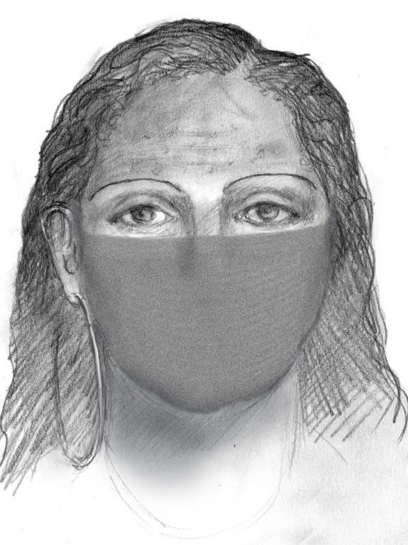 Sheriff details texts, brawl, mystery male DNA in Papini case
