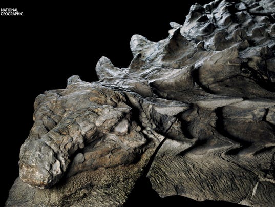Freaky Dragon Dinosaur Discovered In Alberta 