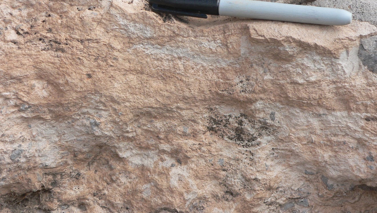 What is caliche — and why is it so impossible to dig through?