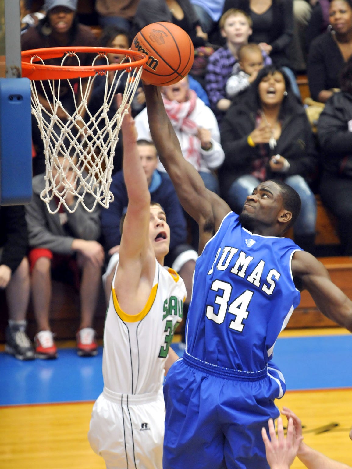 The Pumas: A true tale of crime, basketball, victory, loss, family