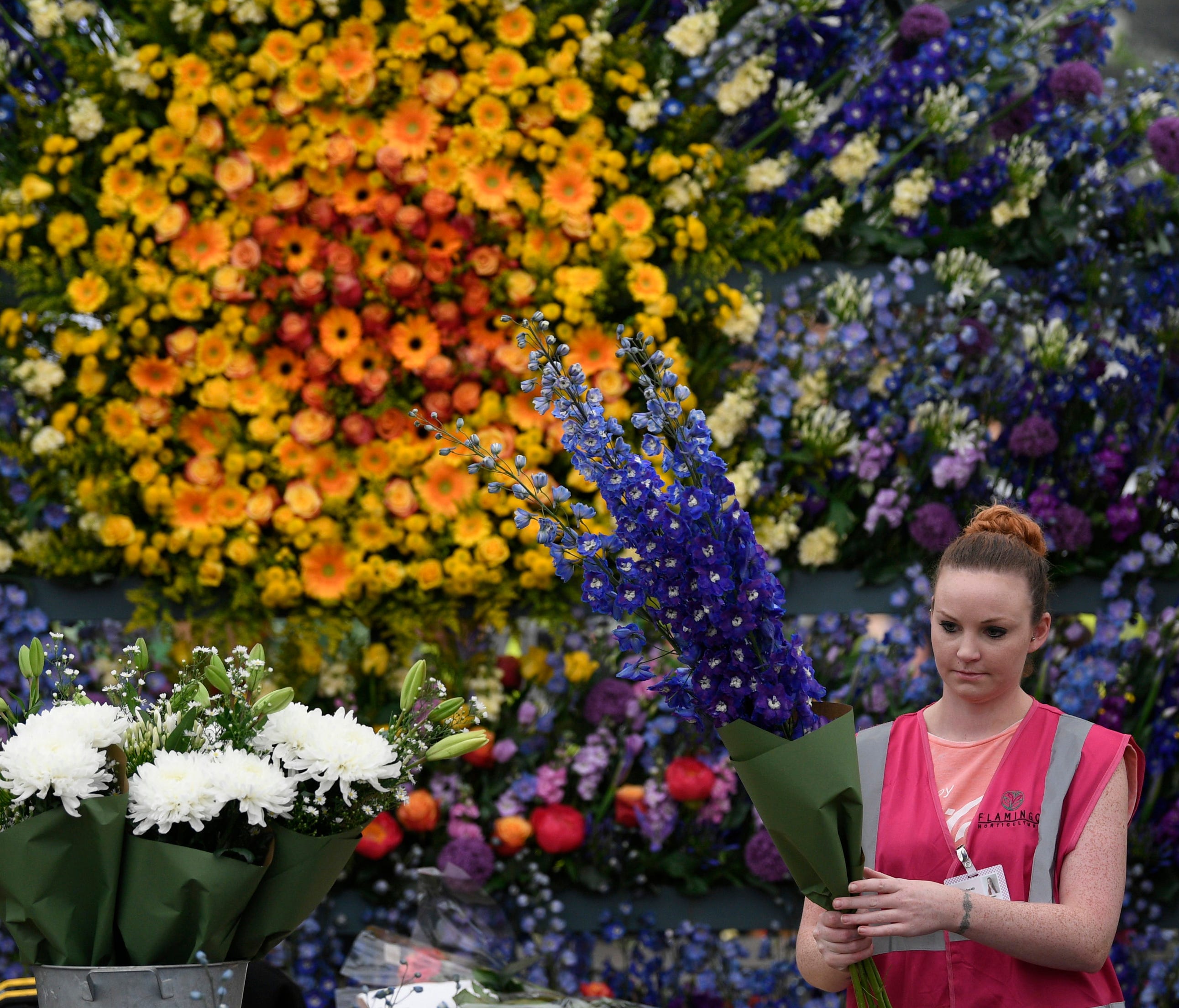 A worker adjusts a display as preparations take place for the RHS Chelsea Flower Show in London on May 20, 2018. The Royal Horticultural Society Chelsea Flower Show in has been been held since 1912 and runs this year from May 22 to May 26.