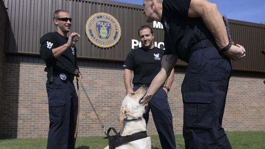 From left:  Officer Adam Atkinson, Officer Shaun Porter and Sgt. Dan Munford of the Michigan State University Police Department's K9 Unit visit with the latest addition to the squad, Cora, on Oct. 5, 2016, at the MSU Police Department. Cora is a yellow lab and vapor wake dog, which is a dog trained to detect body worn explosives.