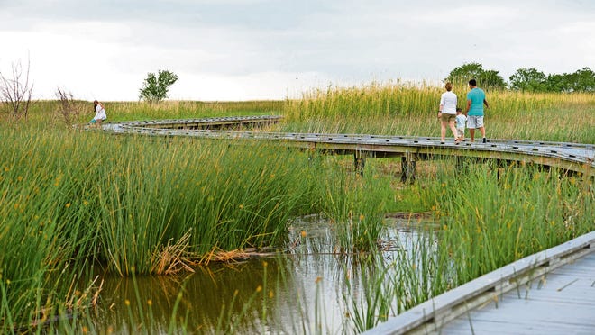 The Sabine National Wildlife Refuge Wetland Walkway.
