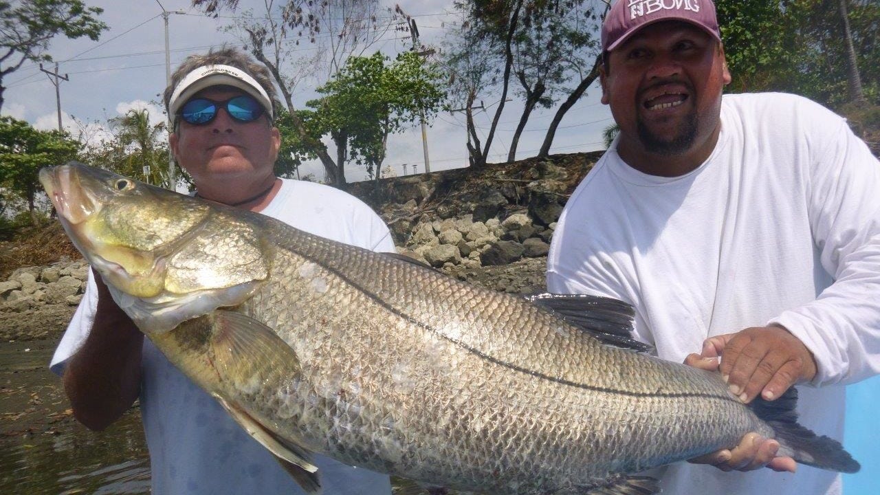 Snook Size Chart