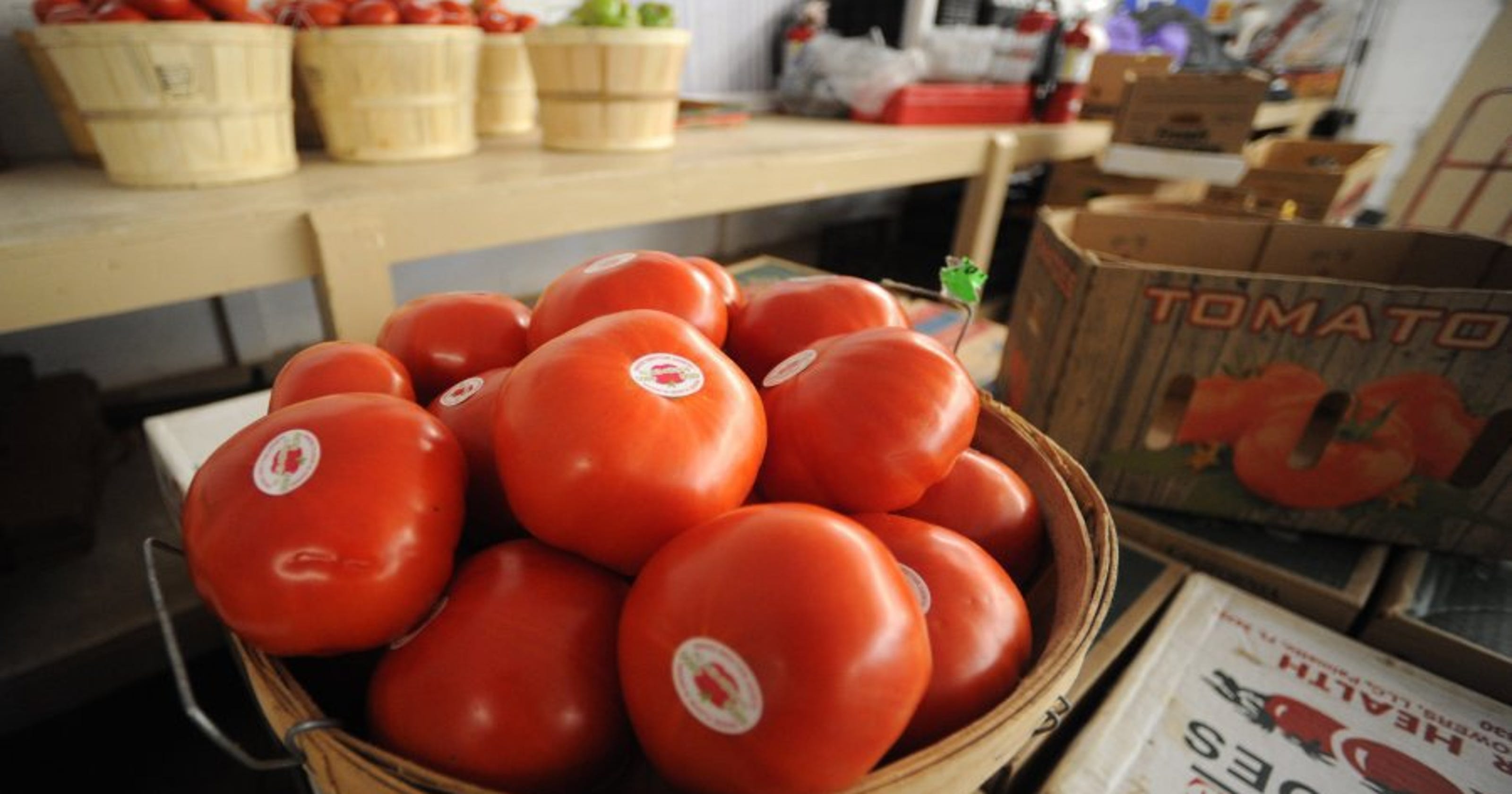 The ’mater matters Grainger County tomato growers are protective of