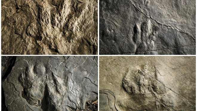 This Feb. 28, 2019, photo combination shows trace fossils on paving stones at the Valley Forge National Historical Park in Valley Forge, Pa. A volunteer at the park outside Philadelphia recently discovered dozens of fossilized footprints on flat rocks installed to pave a section of hiking trail. (AP Photo/Matt Rourke)