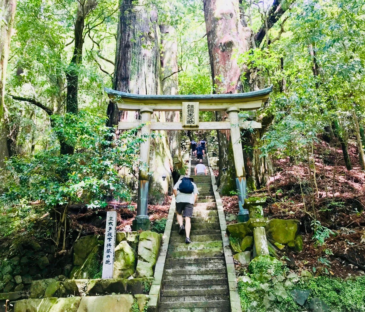 To reach the three grand shrines on foot, hikers must pass through several sub-shrines and ancient gates along the way, sometimes dotted by 800-year-old cedar trees.