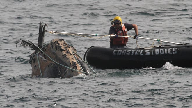 The Marine Animal Entanglement Response Team from the Center for Coastal Studies works to disentangle a North Atlantic right whale east of Cape Cod last summer. A federal judge on Thursday denied an injunction to shut down lobster and gillnet fishing in Massachusetts to protect the whales.
