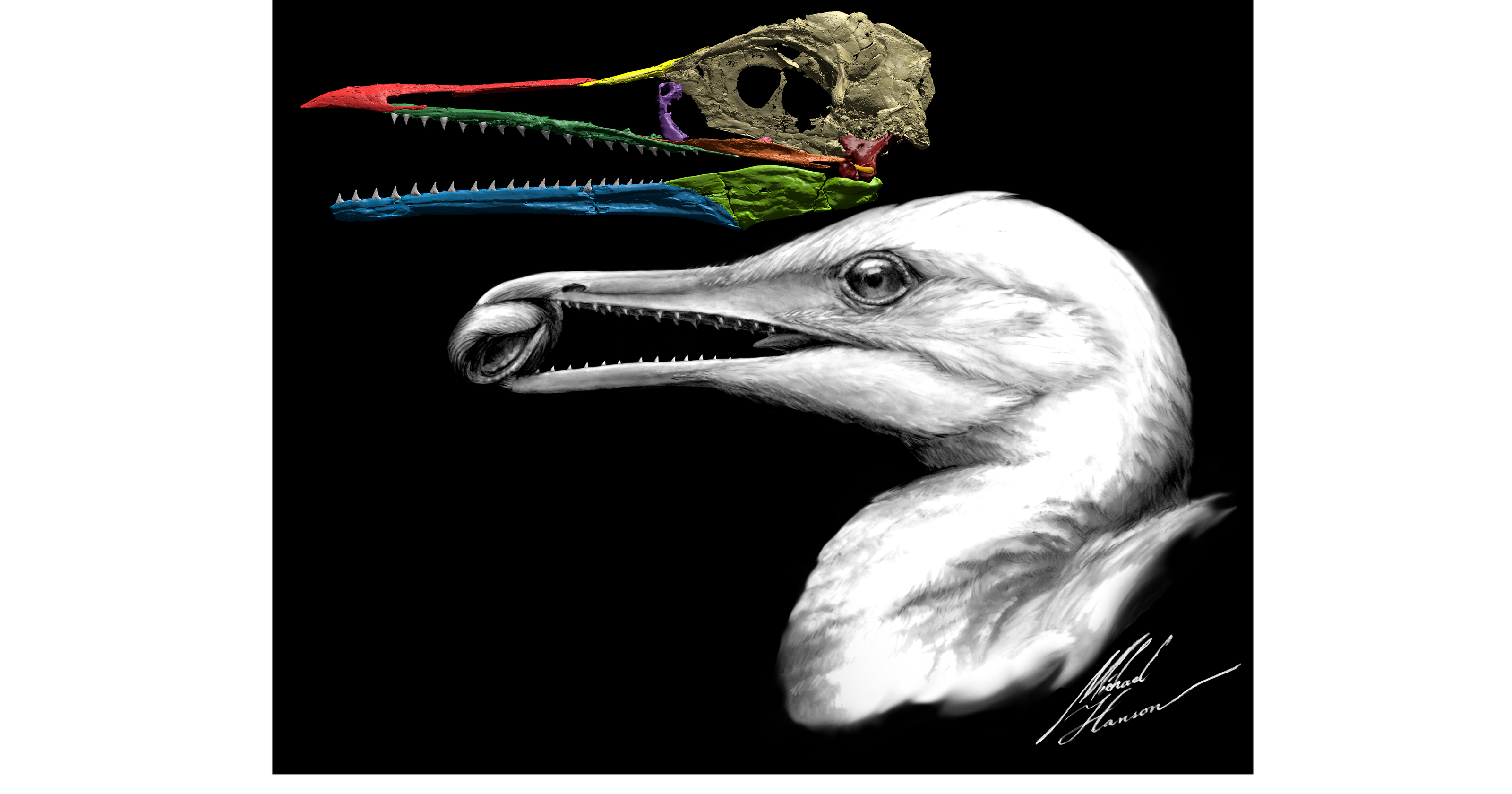 dinosaur with beak and crest