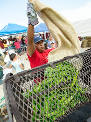 Jose Gonzales, 18, with Vazquez Farms, dumps a 40-pound bag of chile into the roaster on Saturday, Sept. 2, 2017 during the annual Hatch Chile Festival in Hatch, New Mexico.