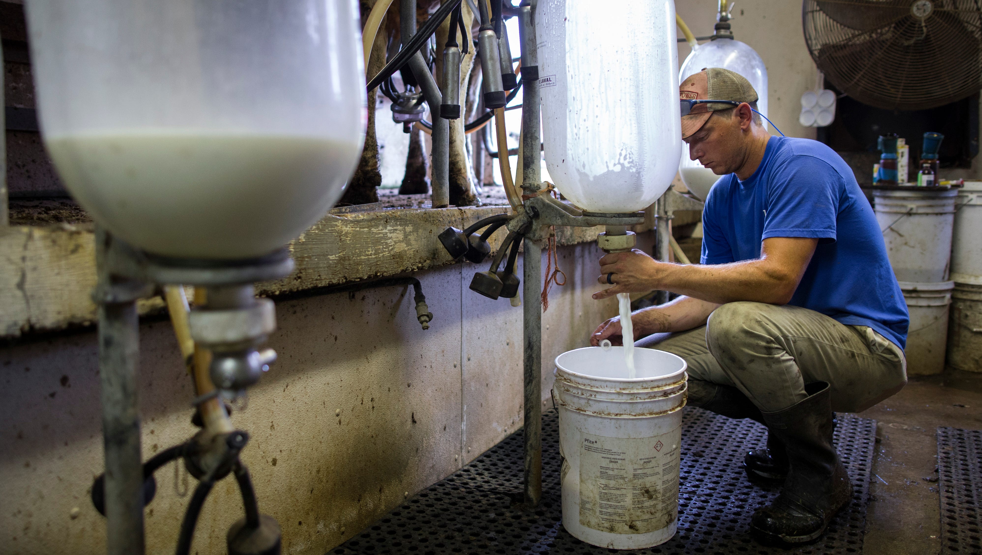 Kentucky dairy farmers get another chance to keep milking