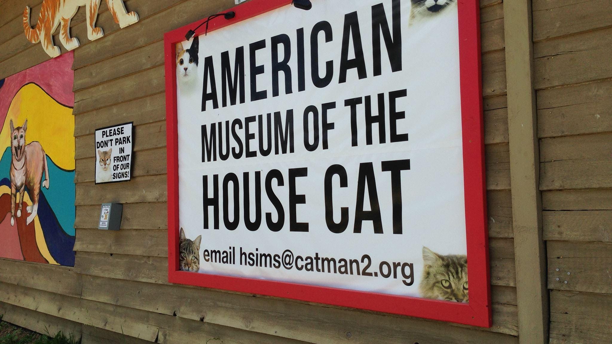 Hinson Roadside Americana Is Purring Along At The Cat Museum