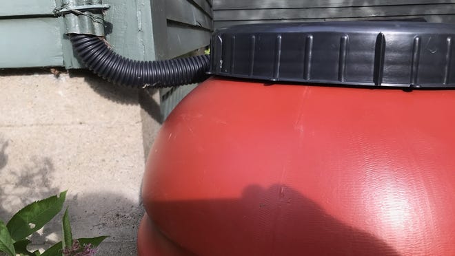 Rain barrels offer homeowners an alternate free water supply to use on lawns, gardens, or plants by capturing rainwater from the roof for later use.