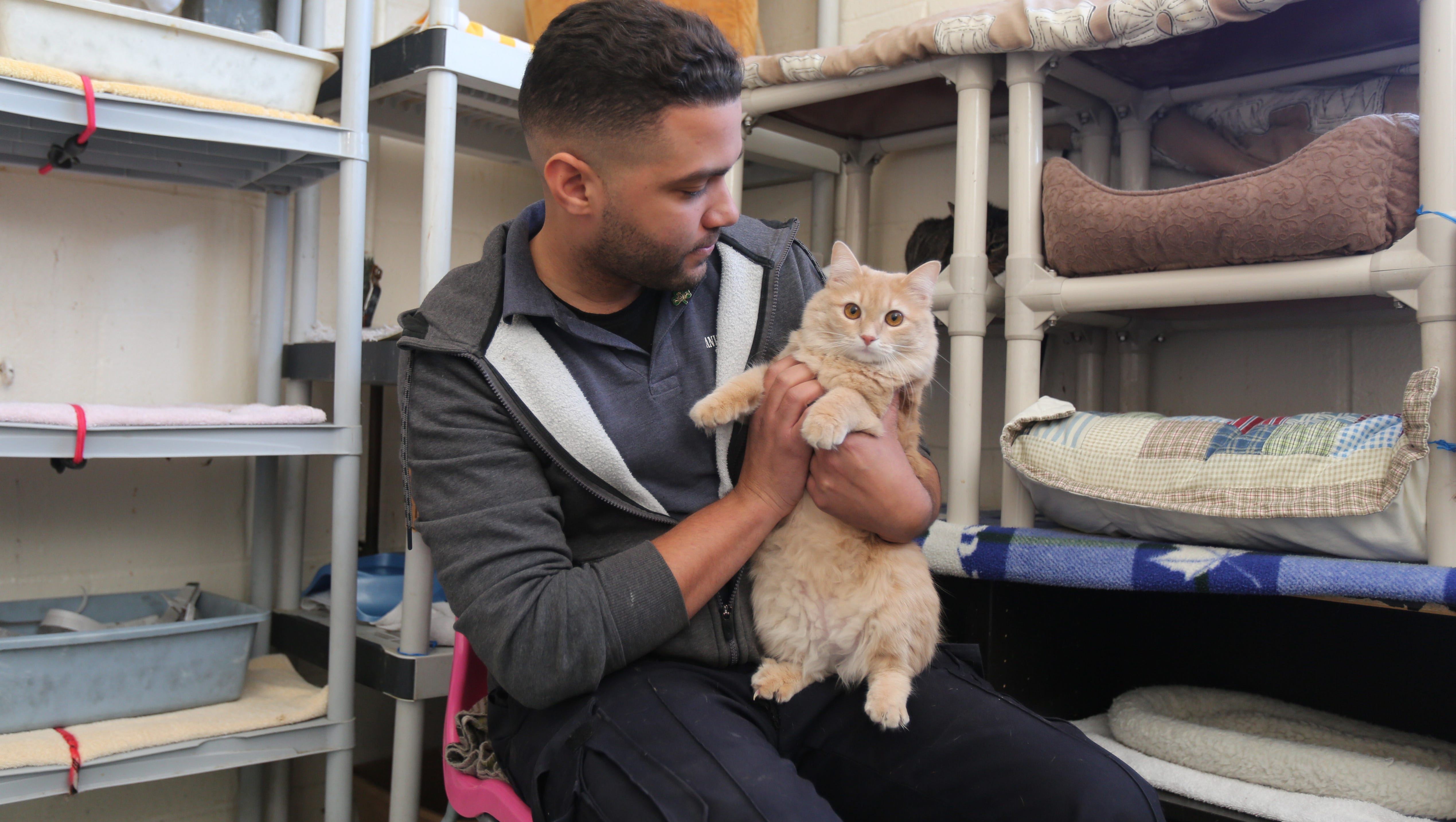 Mount Vernon Animal Shelter gives dogs and cats a second chance