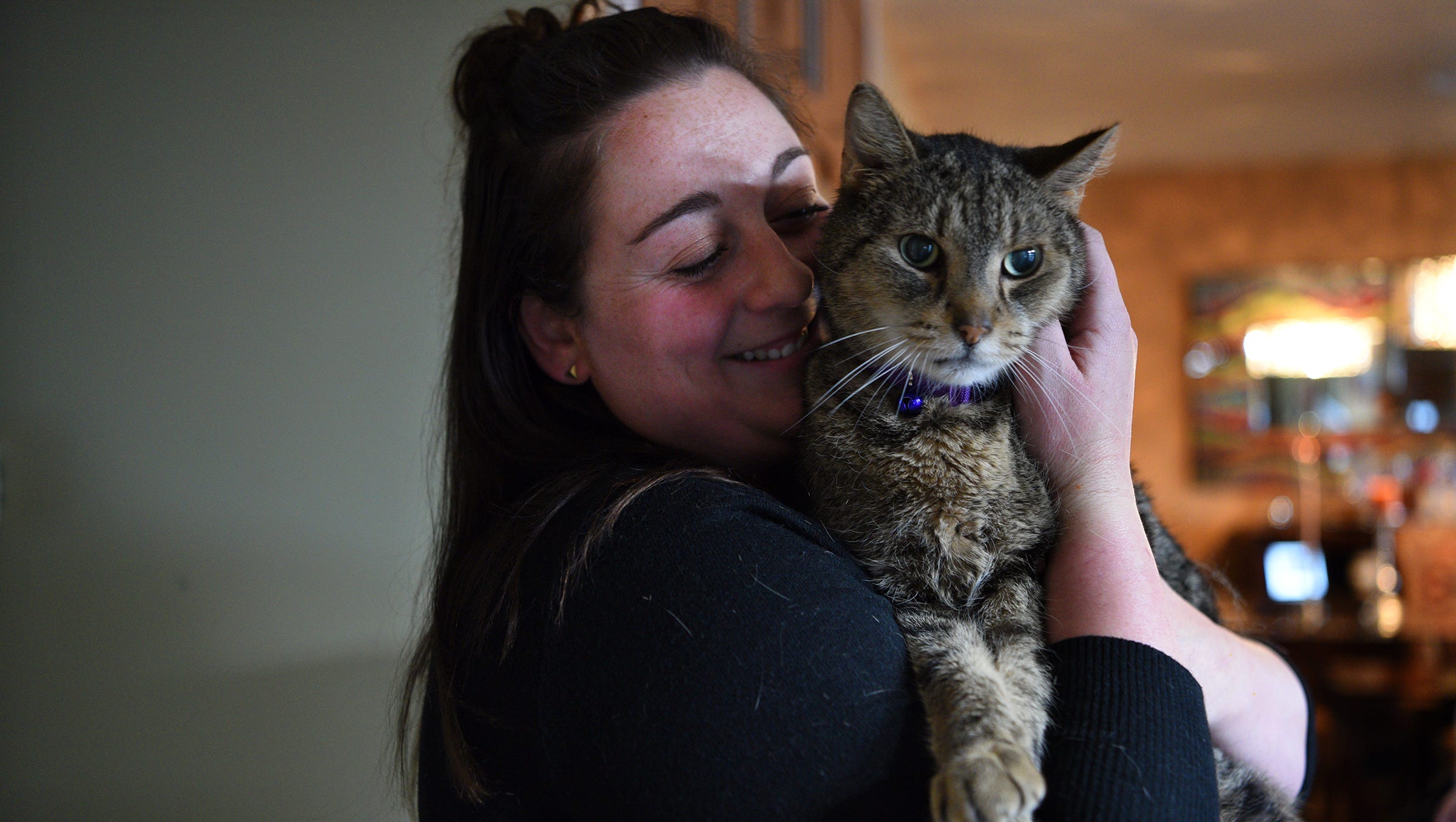Jimmy The Cat Reunited With His Family After 2 Years